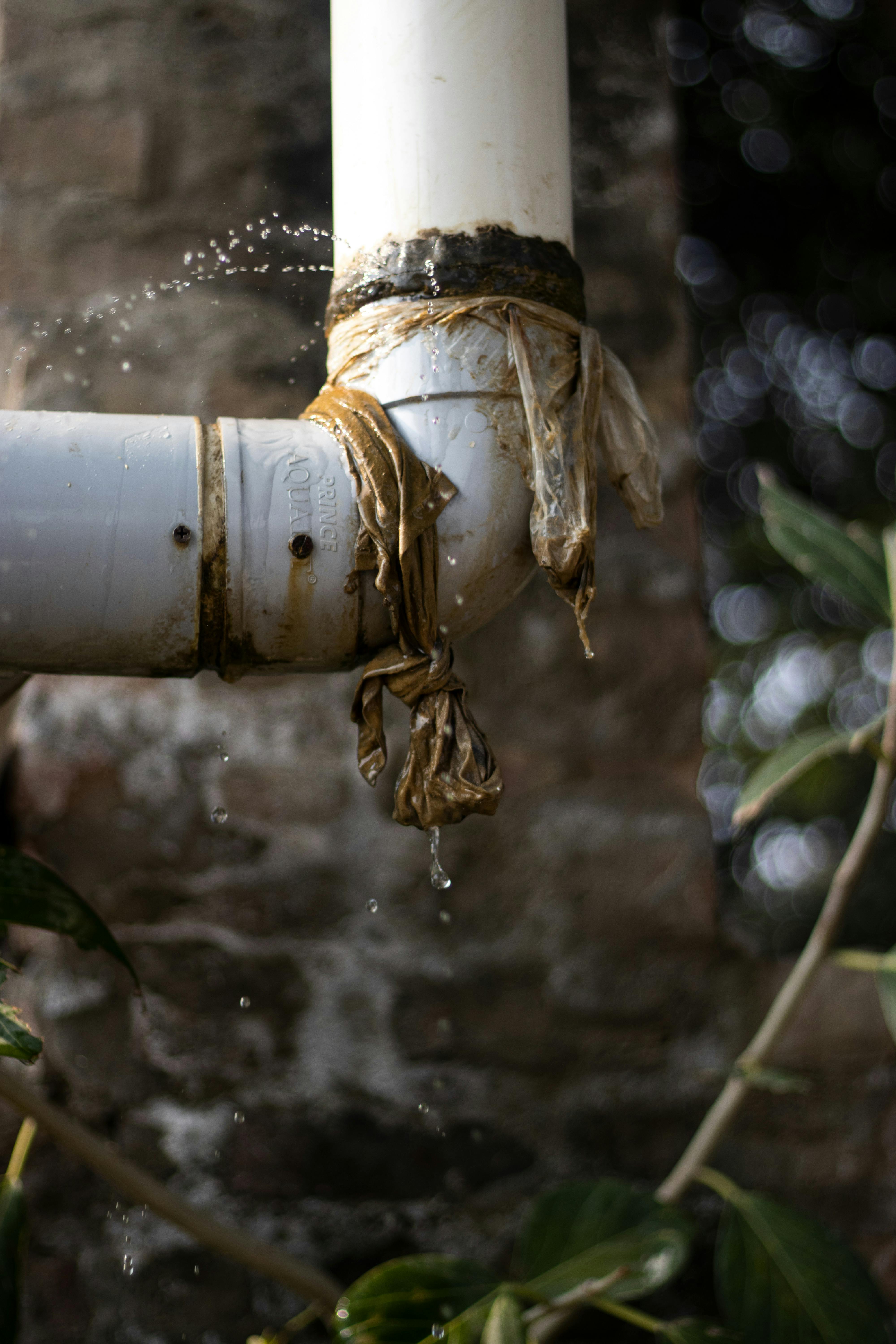 EEK! It’s a Leak!
