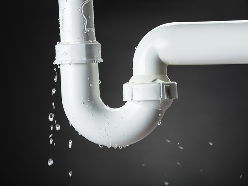 8 Signs of a Hidden Water Leak in Your Ann Arbor Home