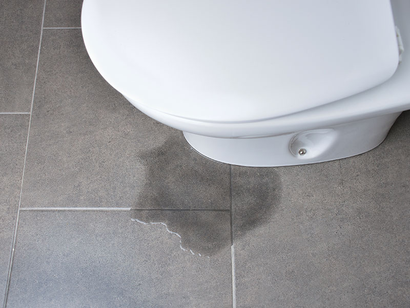 Water Around the Base of Your Toilet? Here's Why You Need to Call a Plumber