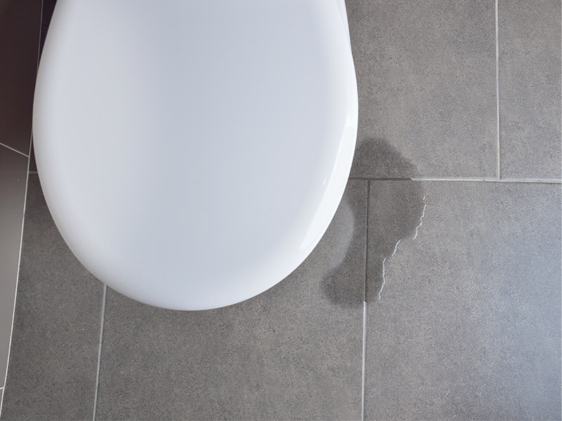 Water at the Base of Your Toilet? What It Means and Why You Should Call a Plumber