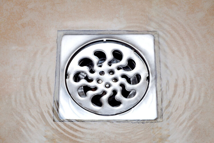 Shower drain with water pooled around it.