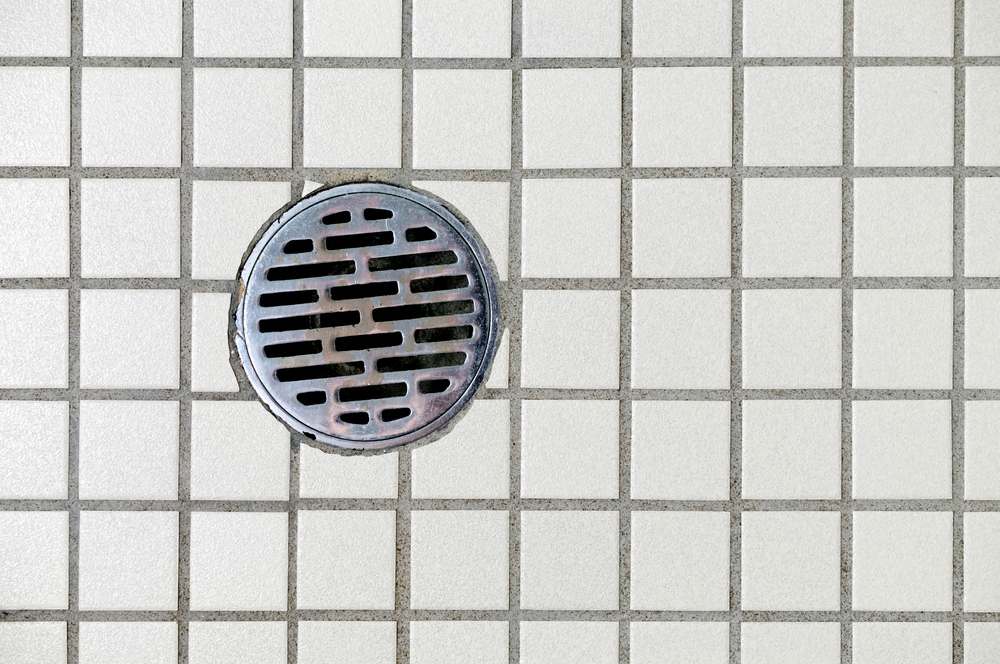 Clogged Drain In Shower? Quick Fixes And Prevention Tips