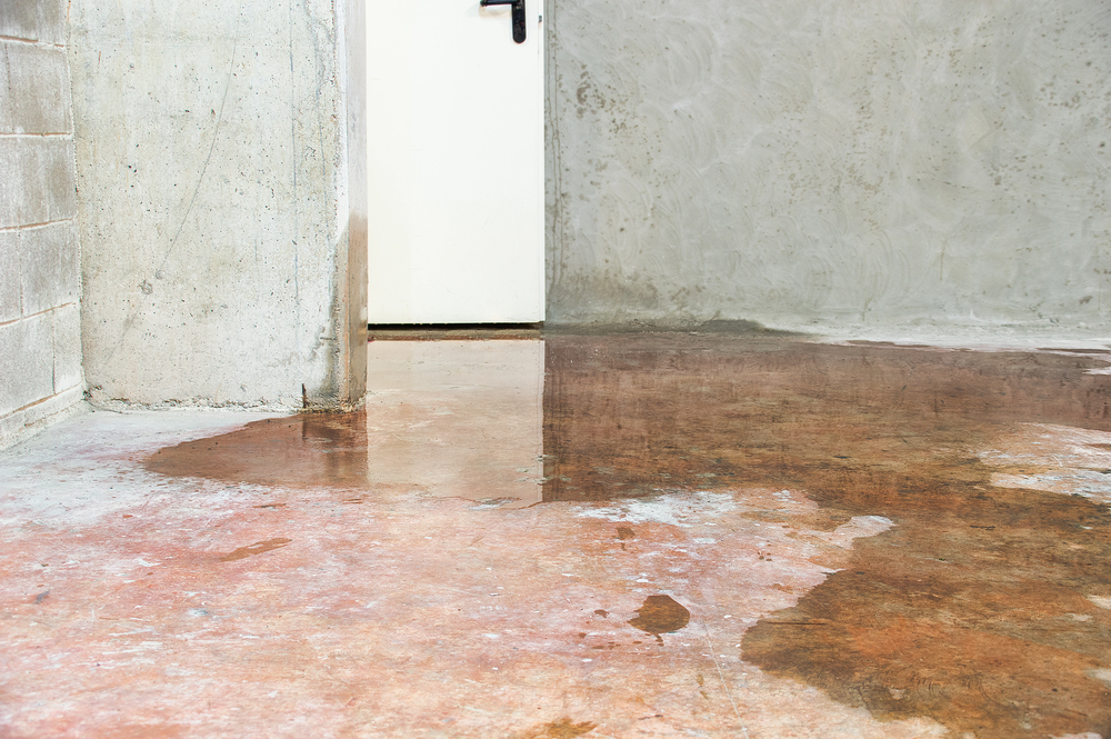 Flooded Basement? Steps To Take Immediately