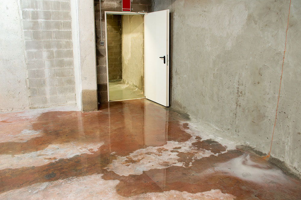 Basement Flood Clean-Up Cost: What To Expect