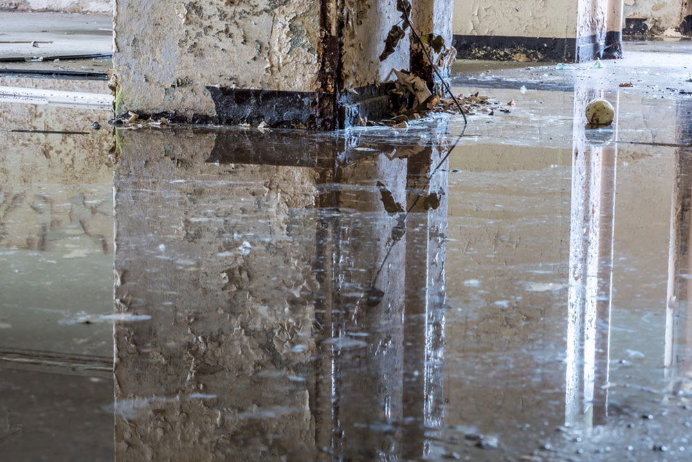 How To Prevent Basement Flooding During Heavy Rain