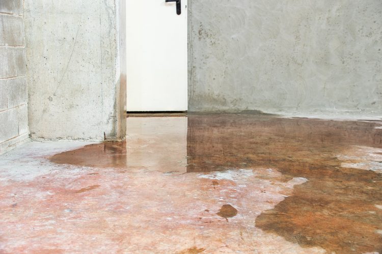 Flooded Basement? Steps To Take Immediately