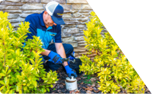 Z PLUMBERS worker kneeling between bushes checking pipe