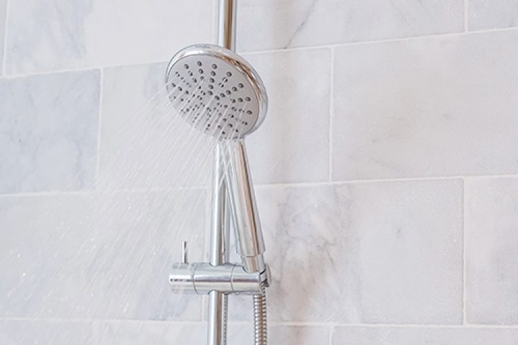 eco-friendly showerhead