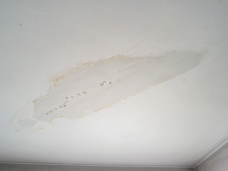 How to Tell If Your Home Has a Hidden Leak