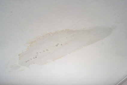 Ceiling leak from damaged plumbing.