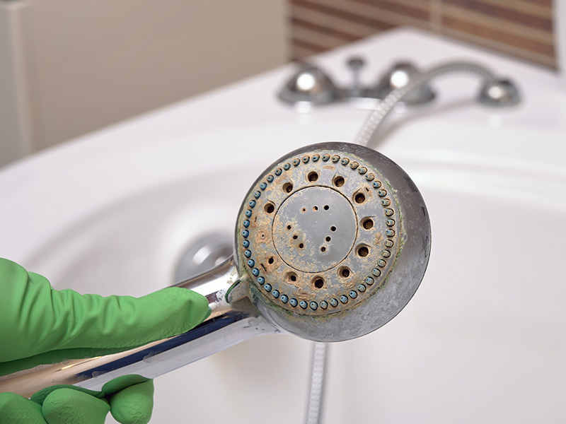 Can Hard Water Shorten the Life of Your Water Heater?