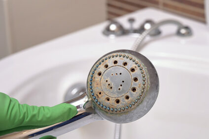 Gloved hand holding showerhead covered in limescale.