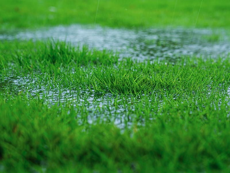 Why Spring Is Peak Season for Drain and Sewer Problems