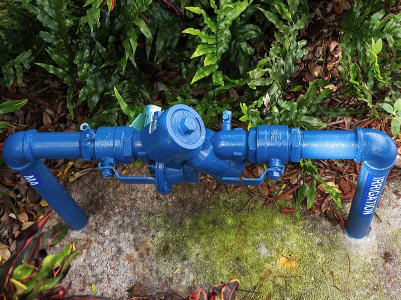 Does Your Home Need Backflow Testing in Southwest Denver?