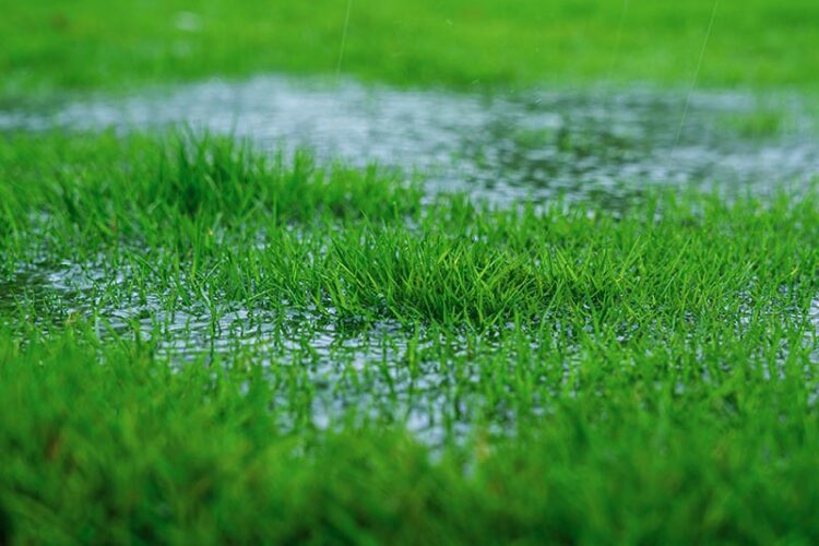 Heavy rain causing flooding in yard. Concept to show tie between saturation and plumbing problems.