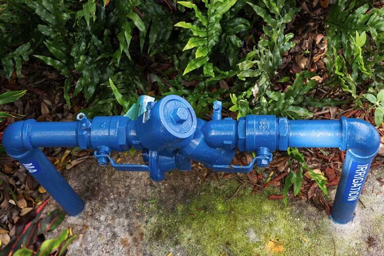 Blue pipe with backflow preventer on it for a sprinkler system.