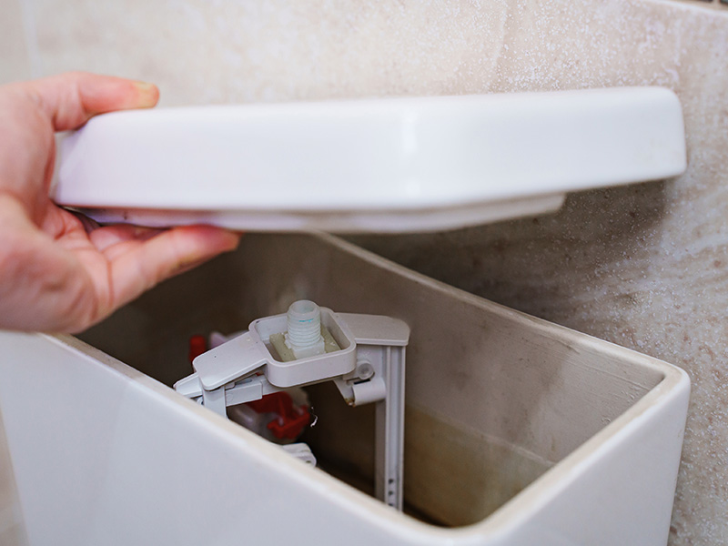 Signs Your Toilet May Need Professional Repair in Your Treasure Valley Home
