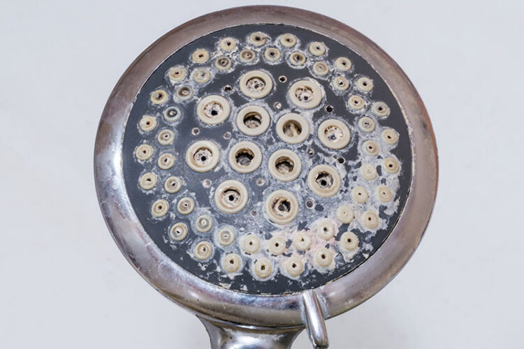 Showerhead with severe scale buildup.