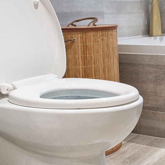 toilet pipe clogged