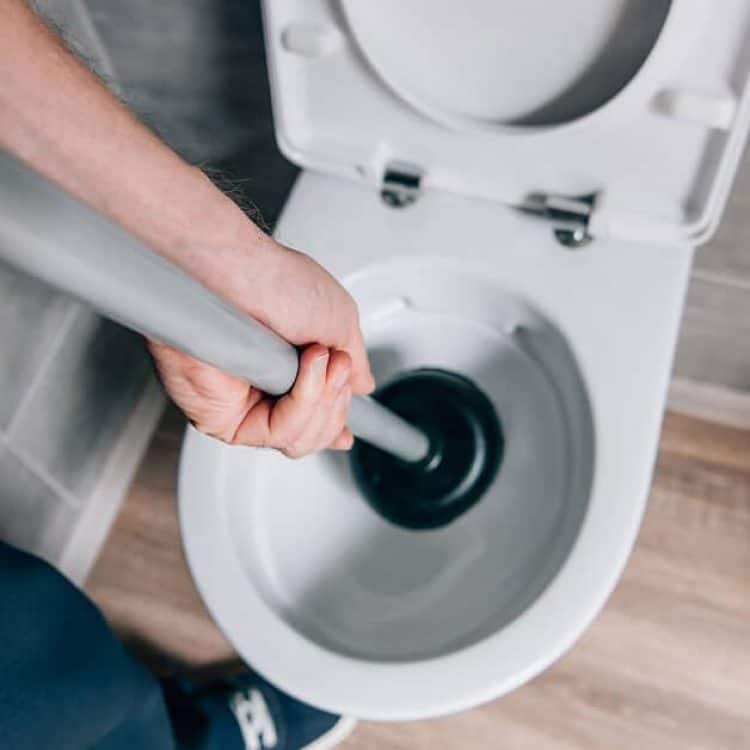 Clogged Toilet Drain Stock Photo for Drain Cleaning Plumbing Services